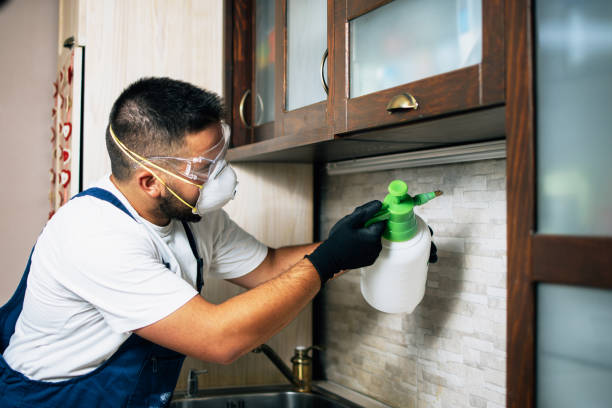 Best Ant Control Services  in Santa Claus, IN