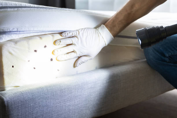 Best Commercial Pest Control Services  in Santa Claus, IN
